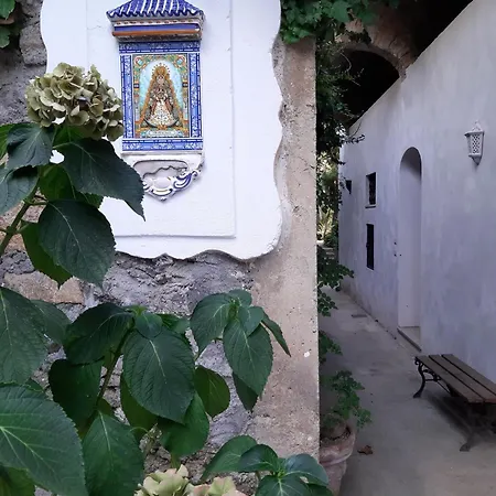 Limoni