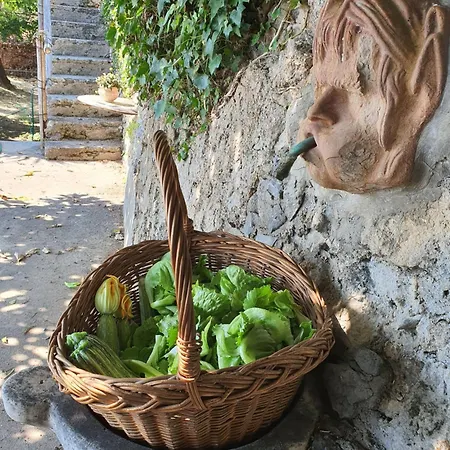 Apartment Limoni Praiano